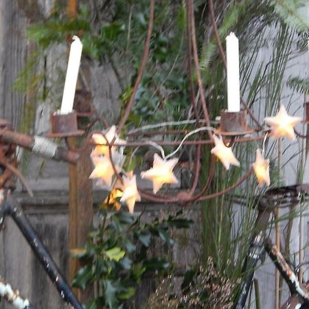 Mimi La Sardine Bed & Breakfast Saint-Gervais en-Belin Bagian luar foto